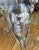 Belle Epoque Champagne Flutes from Perrier-Jouët, 1960s, Set of 6 For Sale - Image 9 of 10