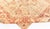 Vintage Pale Beige Background Botanic Indian Amritsar Carpet For Sale In New York - Image 6 of 8