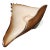 Monumental 17" Murano Glass Conch Shell Centerpiece Bowls - Barbini Style For Sale