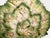 Bordallo Pinheiro Faianças Belo Portugal Majolica Geranium Leaf Dishes, Set of 3 For Sale - Image 4 of 18
