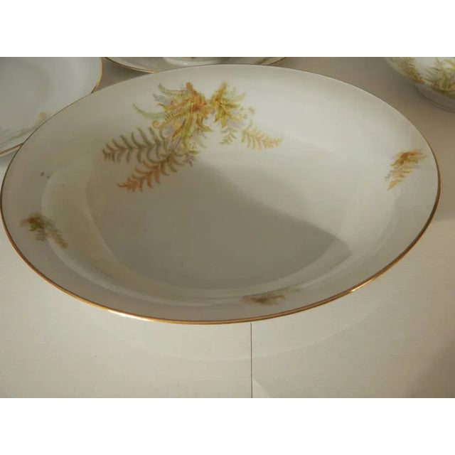 BAVARIA Tirschenreuth Dinner Plate and Tureen Set, 1970s, Set of 6 For Sale - Image 11 of 13