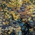 Early 21st Century Autumn's Glow Embraces the Heart by Deb Komitor | Oil on Cradle Board Landscape with Autumn Foliage For Sale - Image 5 of 5