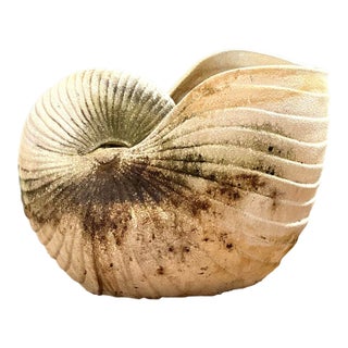 Vintage Cast Nautilus Shell Planter For Sale