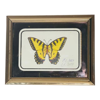 Vintage Butterfly Collage in Antique Brass Frame For Sale