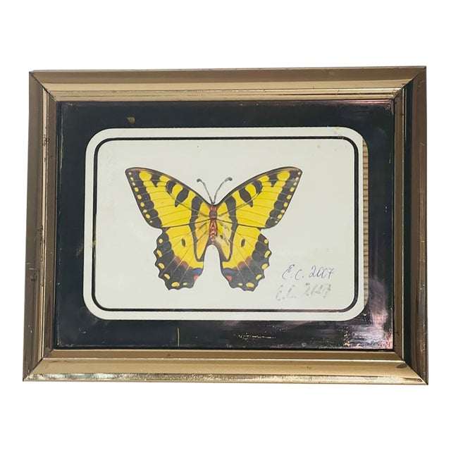 Vintage Butterfly Collage in Antique Brass Frame For Sale