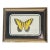 Vintage Butterfly Collage in Antique Brass Frame For Sale