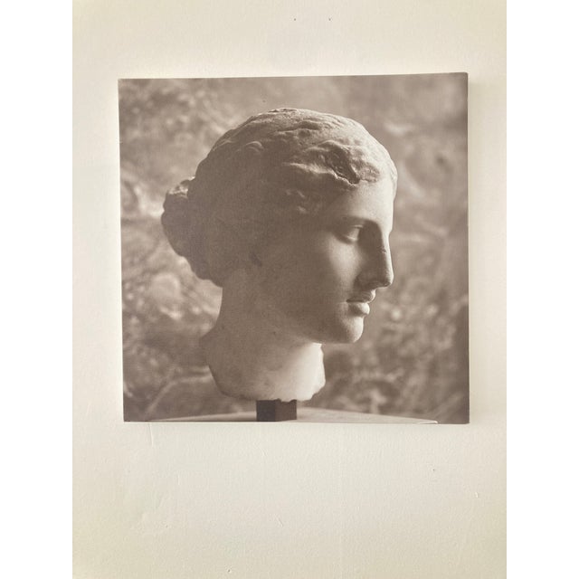 2020s William Gray Harris Photograph on Canvas “ Aphrodite of Kindos" For Sale - Image 5 of 9