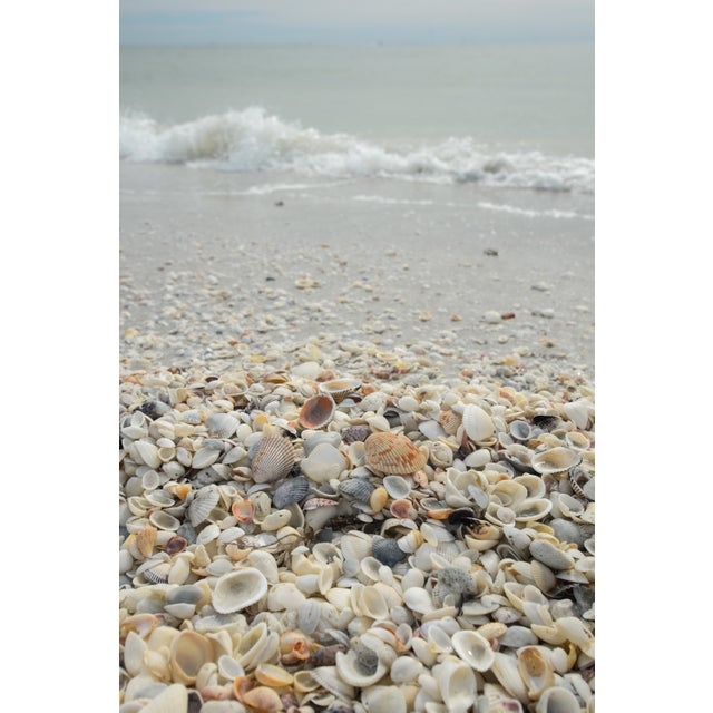 Beautiful, sophisticated, and elegant handmade seashell mirror. Dimensions 14" x 24". Neutral color scheme in white,...