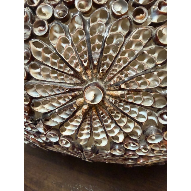 Shell Mosaic Table Lamp For Sale - Image 12 of 12