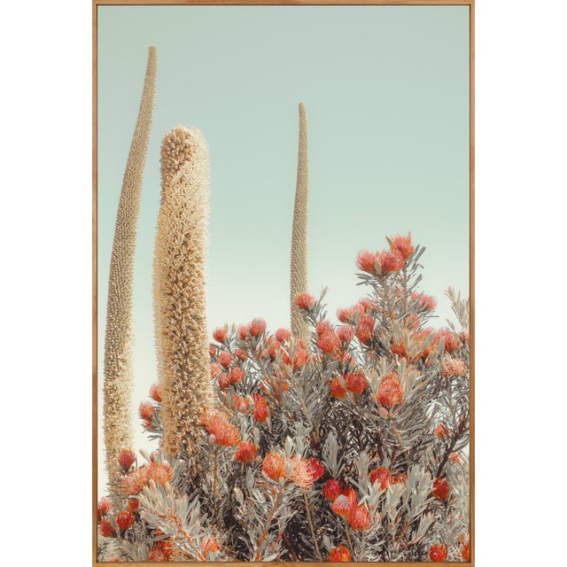 Modern Summer Light, Limited Edition, Fine Art Photography By: Kristin Hart 48x32 For Sale - Image 3 of 3