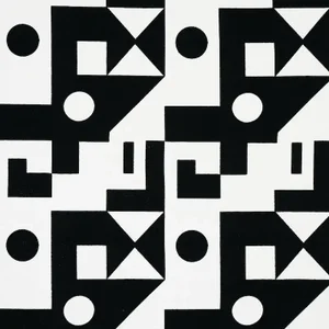 Schumacher X Porter Teleo Binary Embroidery Fabric in Black