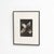Karl Blossfeldt, Natural Grace, 1942, Photogravure, Framed For Sale - Image 11 of 13