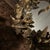 Hollywood Regency Vintage Petites Choses Dresden Style Brass Hummingbird Wreath Mirror For Sale - Image 3 of 8