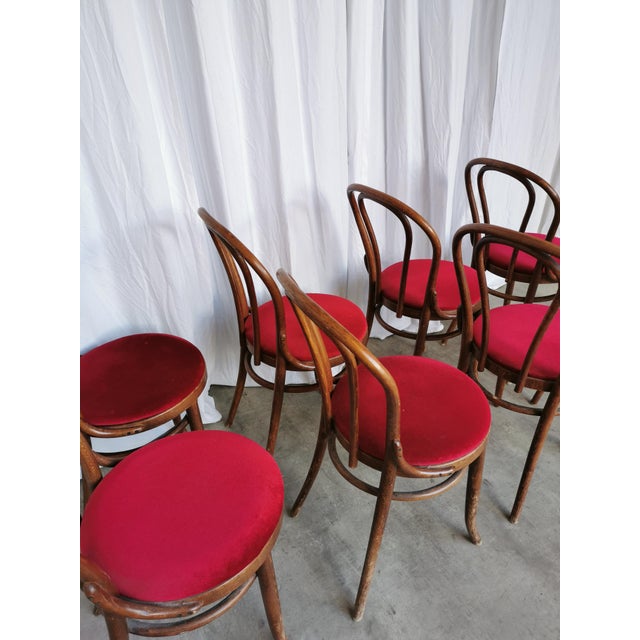 Vintage Bentwood Bistro Chairs, 1970s, Set of 8 For Sale - Image 10 of 18