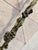 Vintage Sculptural Wrought Iron Two-Light Floor Lamp, Torchère With Grape Vine Entwined Column, Circa 1950s For Sale In San Antonio - Image 6 of 12