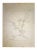 The Bird is an original drawing in pencil on paper realized by Leo Guida in the 1970s. Good condition with some sign of...