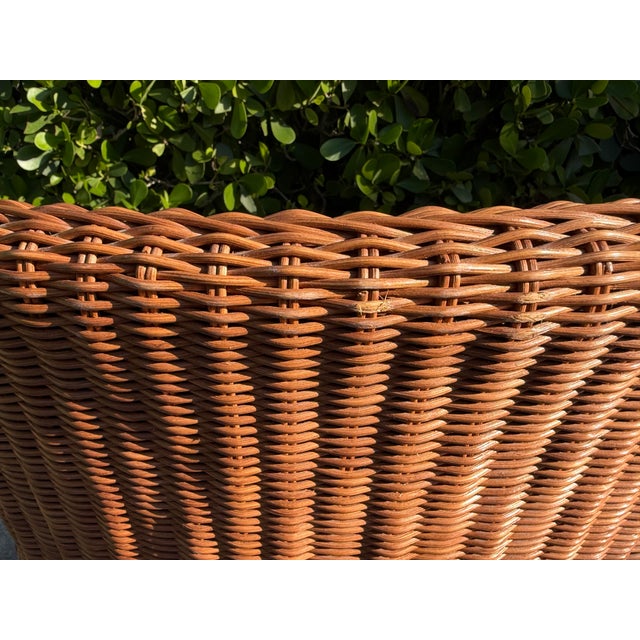 Vintage Barrel-Back Rattan Armchairs, Pair For Sale - Image 13 of 14