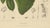 Hoola van Nooten, Soursop Botanical, 1880, Chromolithograph For Sale - Image 6 of 9