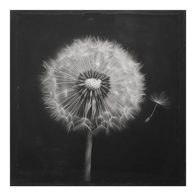 Dandelion No. 1 — Black and White Botanical Print After an Original 1950s Mezzotint, Unframed For Sale