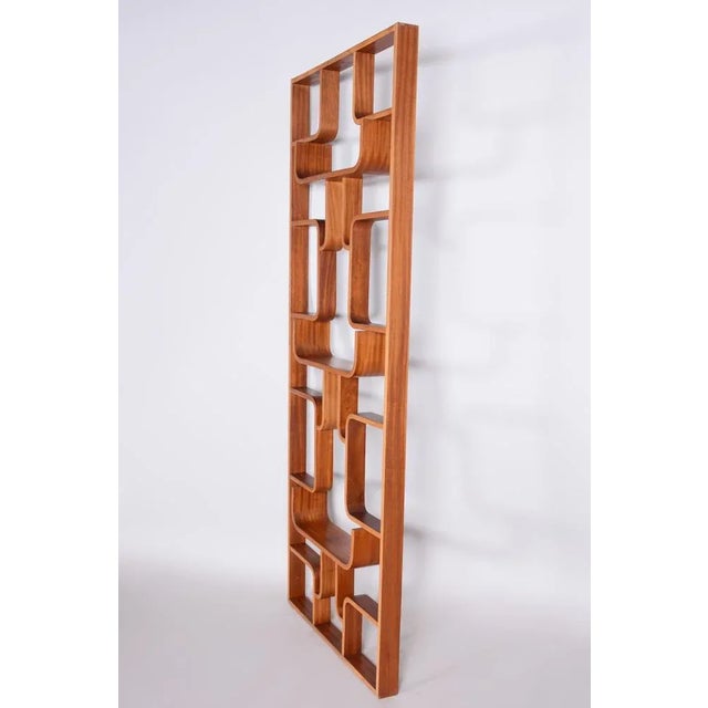 Mid-Century Room Divider in Mahogany attributed to Ludvik Volak for Drevopodnik Holesov, Former Czechoslovakia, 1960s For Sale - Image 4 of 8