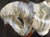 Beautiful sculpted marble artwork in the shape of a bow or infinity symbol. Signed by the American artist Sharon...