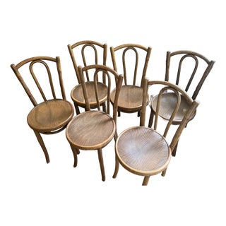 Set of Six Early 20th Century Mazowia Bentwood Café Dining Chairs For Sale
