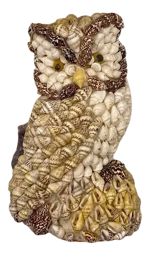Small Shell Encrusted Owl - Philippines