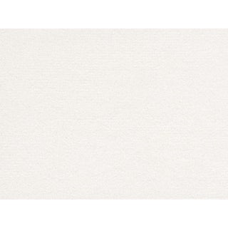 Perennials Plushy Fabric (Color: Blanca) For Sale