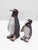 Penguins, 1960s, Set of 2 For Sale - Image 10 of 13