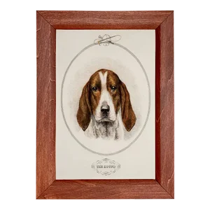 "The Hound" Framed Print