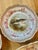 Ceramic Antique O & E Gutherz Royal Austria Hand Painted Fish Dinnerware Circa 1899-1918 - A Set of 10 Pieces For Sale - Image 7 of 18