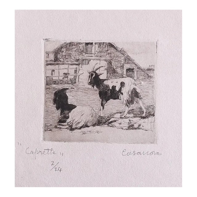Carlo Casanova, The Goats, Etching, Early 20th Century For Sale