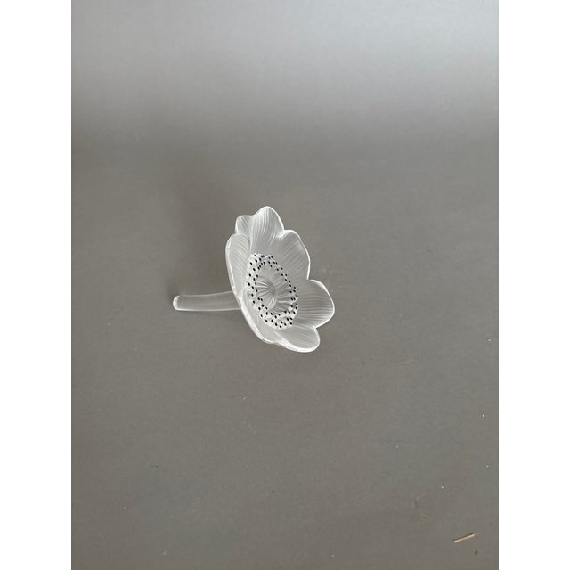 Lalique Lalique Glass Anenome Flower Paperweight For Sale - Image 4 of 7