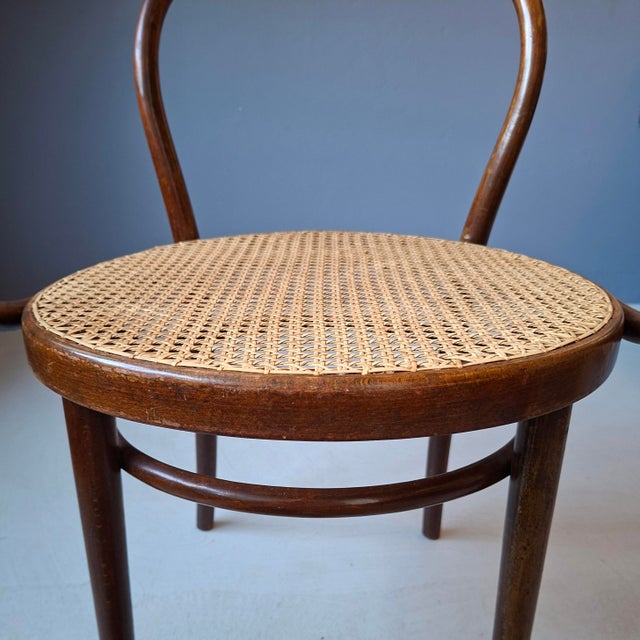 1970s No. 209 Armchair in Brown Bentwood and Rattan from Ligna, 1970s For Sale - Image 5 of 9