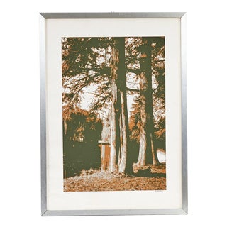 A. F. Nardi, Trees, Screen Print For Sale