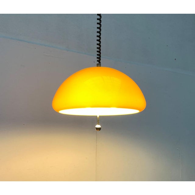 Mid-Century Space Age Cabras Pendant Lamp by Luigi Massoni for Guzzini, 1960s For Sale - Image 13 of 18