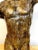 Mid 20th Century French Modern Bronzed Plaster Sculpture of a Male Nude Torso For Sale In West Palm - Image 6 of 13