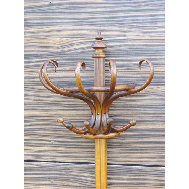 Wall-Mounted Coat and Umbrella Rack from Jacob & Josef Kohn, 1905 For Sale - Image 9 of 9