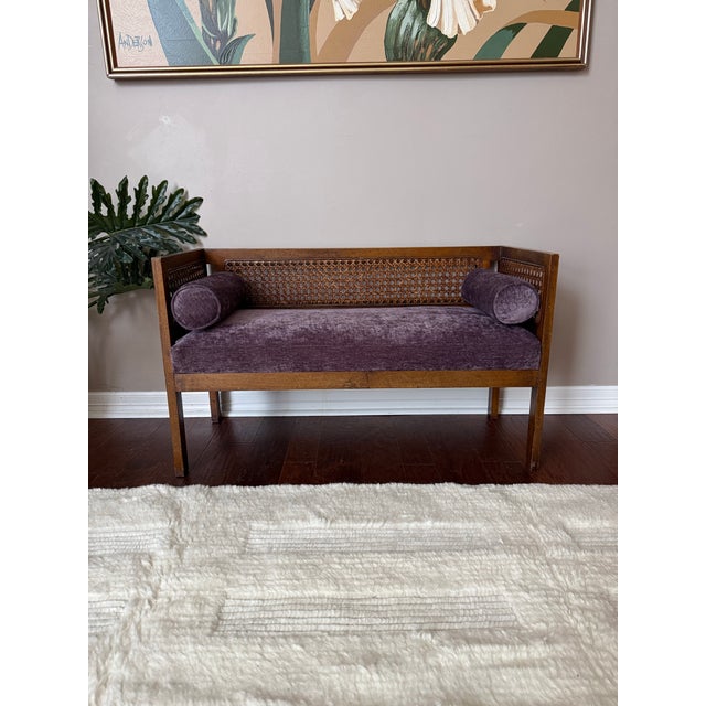 1950s Vintage Mid-Century Modern Cane Back Bench This bench/settee has a cane back and cane side panels with a walnut tone...
