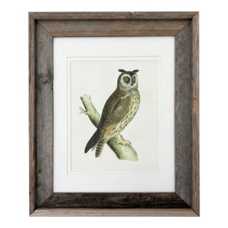 1821 Antique - Prideaux John Selby Long-Eared Owl Woodcut Drawing Wood Framed Art Piece For Sale