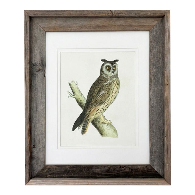1821 Antique - Prideaux John Selby Long-Eared Owl Woodcut Drawing Wood Framed Art Piece For Sale