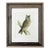 1821 Antique - Prideaux John Selby Long-Eared Owl Woodcut Drawing Wood Framed Art Piece For Sale