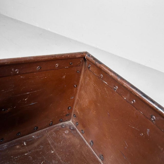 Black Antique Storage Trunk, 1890s For Sale - Image 8 of 18