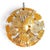 Sputnik Lamp with Golden Murano Glass Discs, 1950s For Sale - Image 4 of 4