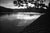 Paul Cooklin, River Vltava, Edition of 50 For Sale - Image 4 of 4