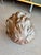Vintage Bronze Head Fragment Life-Size Figure Bust For Sale - Image 9 of 11