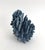 Natural Blue Coral Specimen For Sale - Image 4 of 8