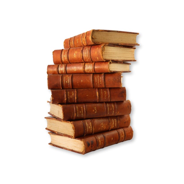 Early 20th Century 1920 French Evolution of Humanity Books For Sale - Image 5 of 9