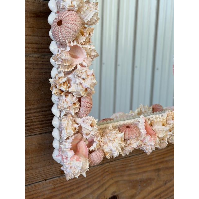 Contemporary Custom Coastal Organic Sculptural Pink Seashell Wall Mirror For Sale - Image 3 of 12