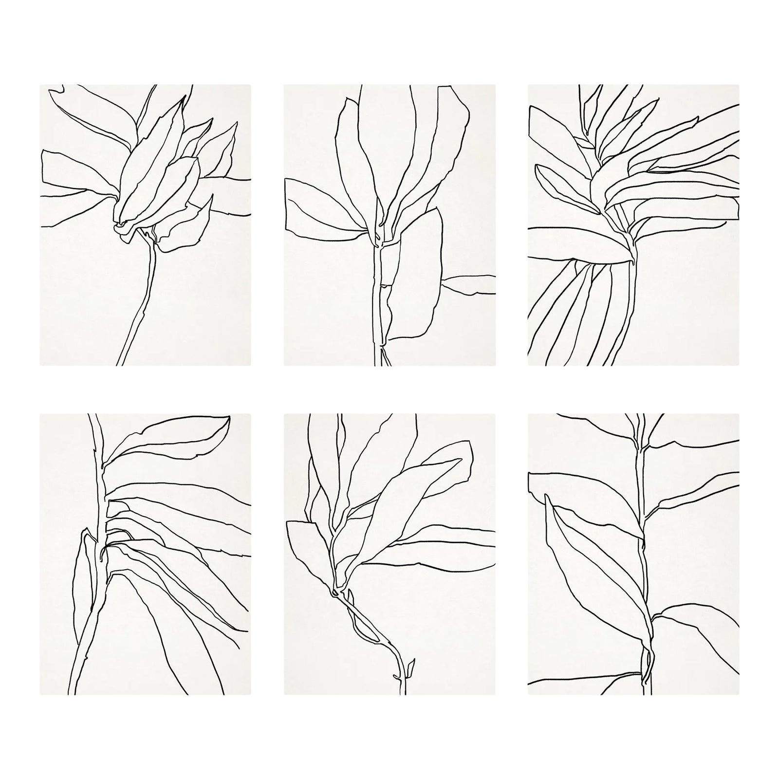 Contemporary Botanical Giclee Prints Set of 6 Chairish